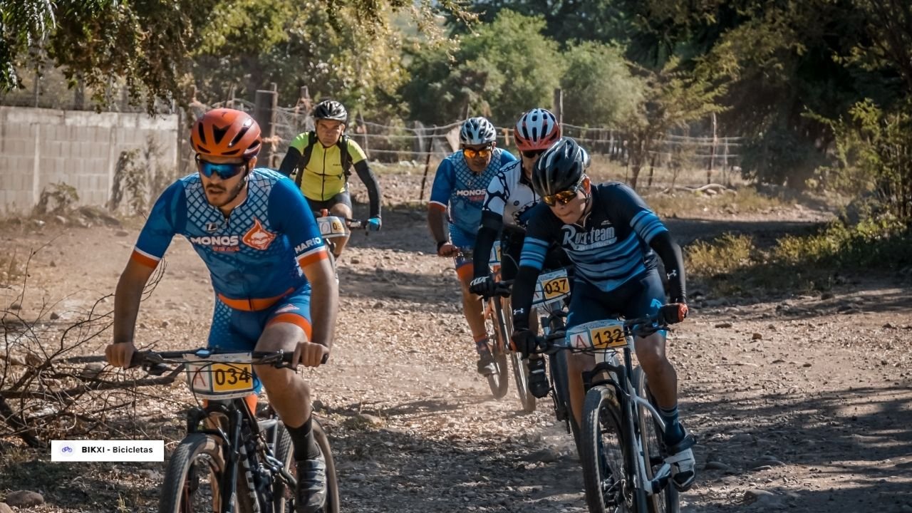 Melhores bicicletas